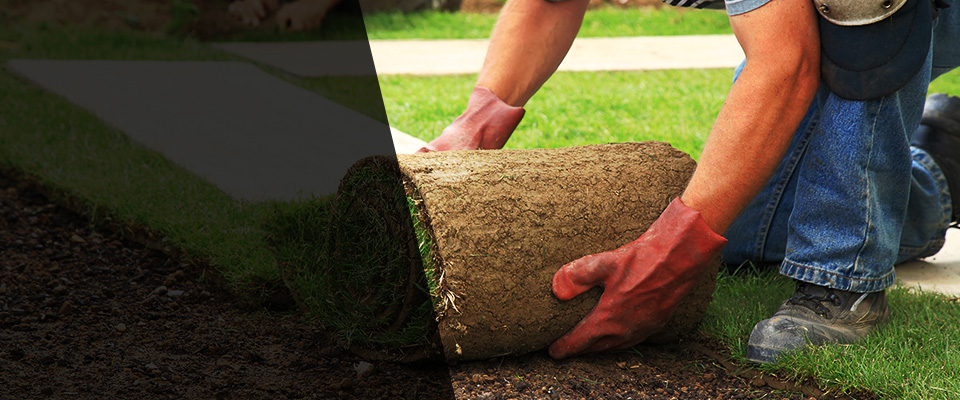 Glen Burnie Landscapers